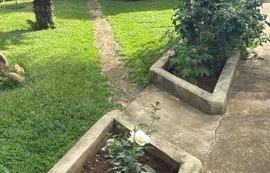 Imagem 2: Casa pra alugar no joa. Piscina, Varanda, 700m² de Áreae5 Vagas na garagem