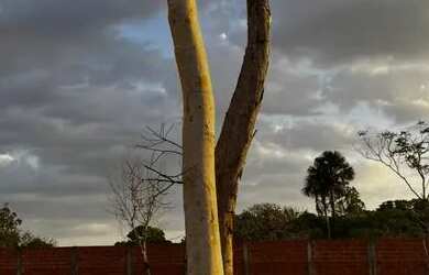 Imagem: O terreno possui 360m² de Área e está localizado em Duque