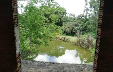 Imagem 7: Sítio à venda, 5 quartos, 2 vagas, Campestre Baixo - Salvador do Sul/RS