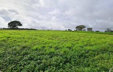 Imagem: A fazenda possui 700-0m² de Área e está localizado em Lagoa