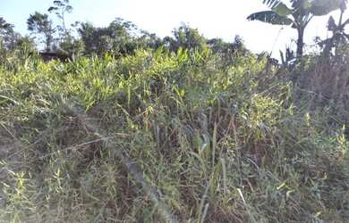 Imagem 2: Terreno. 1.620m² de Área