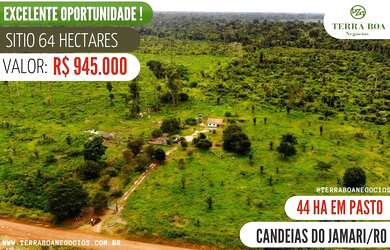 Imagem: A fazenda está localizado em Igarapé, Porto Velho à venda