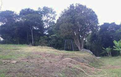 Imagem 4: Sítio. 4.000m² de Área