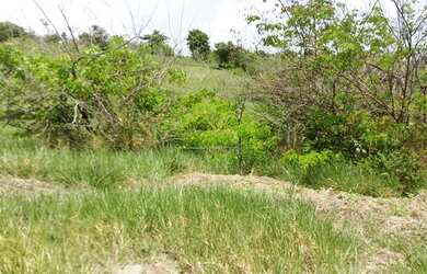 Imagem 6: AREA Beira de pista PB-008 COM 37.500m2 frente PB-008 4km da Praia Bela