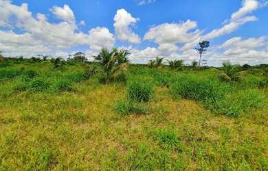 Imagem 4: Vendo Sítio 50 hectares na Alça Viária KM 32. Terreno 500.000m2
