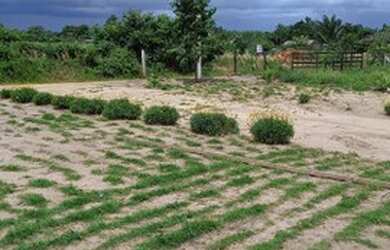 Imagem 3: Vende se está Chácara. 