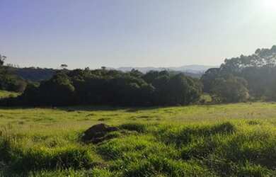 Imagem 3: Lote/Terreno para venda possui 1000 metros quadrados em Centro - Nazaré...