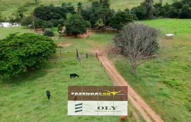 Imagem: A fazenda está localizado em Jaraguá, GO à venda por R$6.760.000