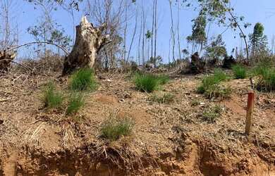 Imagem 9: Terreno para venda possui 600 metros quadrados