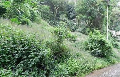 Imagem 5: RIO DE JANEIRO - Loteamento/Condomínio - JARDIM BOTÂNICO