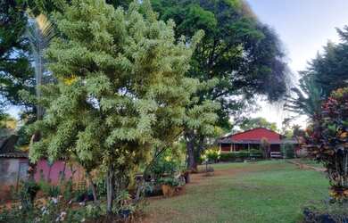 Imagem 7: Sítio MARAVILHOSO - Sítio Nosso Sonho - bairro Quintas da Boa Vista,...