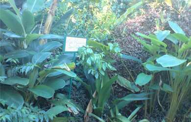 Imagem 9: Costeira espetacular. Piscina, Churrasqueira, Ar-condicionadoe800m² de...