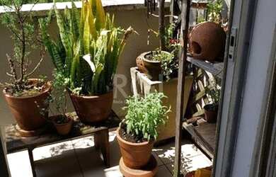 Imagem 12: Porto Alegre - Apartamento Padrão - Azenha