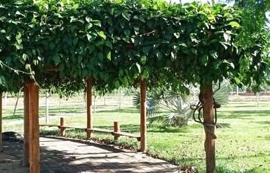 Imagem 6: Condomínio Náutico Porto do sol em Governador Valadares