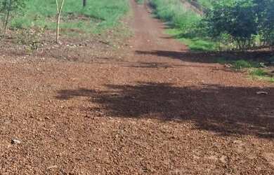 Imagem: A chácara está localizado em Palmas, TO à venda por R$60.000