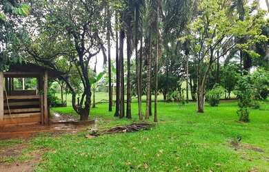 Imagem 1: SÃO JOSÉ DO RIO PRETO - RURAL - CENTRO TALHADO