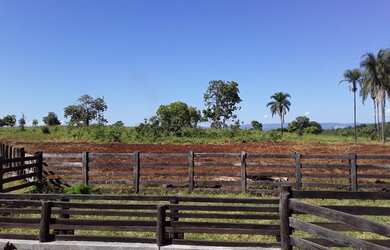 Imagem 11: MINAÇU - RURAL - Zona Rural