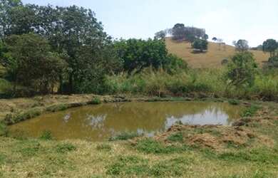 Imagem: A fazenda possui 45m² de Área e está localizado em Vila