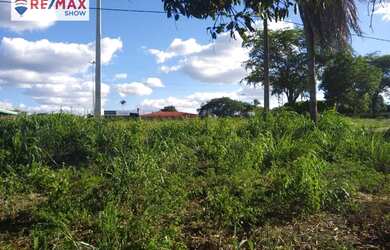 Imagem 7: Vendo terreno rural na BR 423