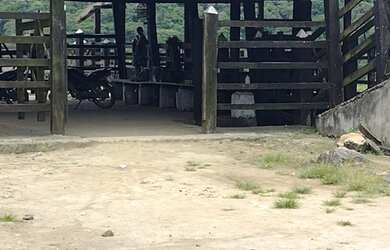 Imagem: A fazenda possui 167m² de Área e está localizado em Presidente