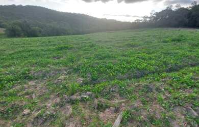 Imagem 9: o26/ Terreno para venda tem 500 metros quadrados em Cotia-SP -