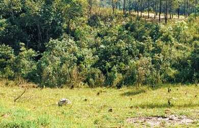 Imagem 12: 89m-Terrenos no Recanto das aguas, lindo! Venha garantir o seu