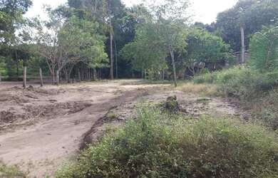 Imagem 1: Terreno No Carapanari. 500m² de Área