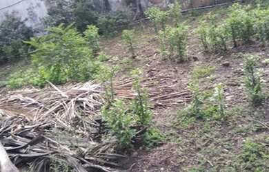 Imagem 4: vendo. 360m² de Área