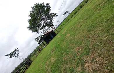 Imagem 2: Vendo uma linda fazendinha