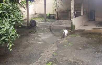 Imagem 7: Maravilhosa casa. VP. Varanda, 160m² de Área, 1 Vaga na garageme3 Dormitórios