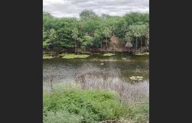 Imagem: A fazenda possui 20.000m² de Área e está localizado em Itaguaçu