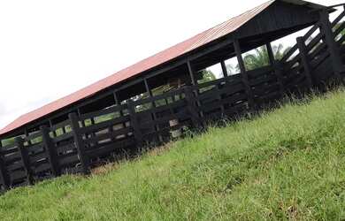 Imagem 5: Vendo uma linda fazendinha