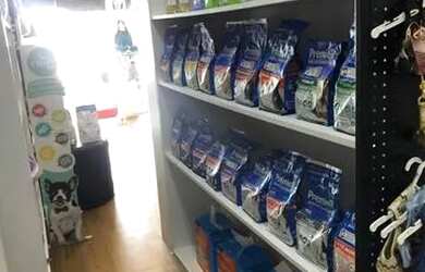 Imagem 7: Pet shop Boutique em Balneário Camboriú