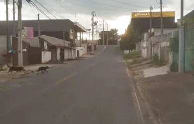 Imagem 3: Terreno,medindo 6x25 150 m2