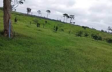 Imagem 12: Vendo uma linda fazendinha