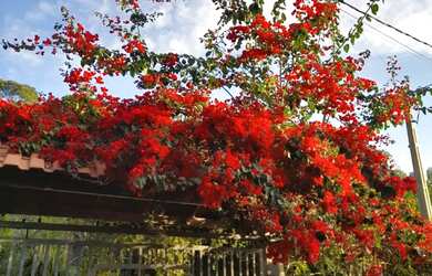 Imagem 2: Casa para relaxar, estilosa, privativa e pet friendly