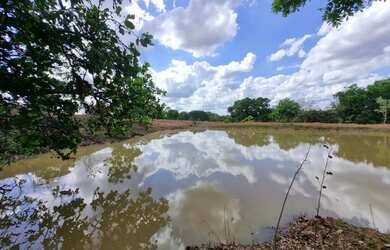 Imagem 6: Imóvel para venda possui 1010000 metros quadrados em Centro - Arinos...