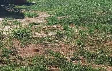 Imagem: O terreno possui 200m² de Área e está localizado em São