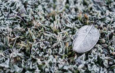 Imagem 10: TERRENO EM GRAMADO. 800m² de Área