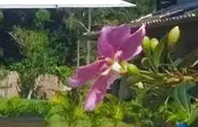 Imagem 16: Casa para Venda em Saquarema, Bacaxá, 5 dormitórios, 5 suítes, 9 banheiros,...