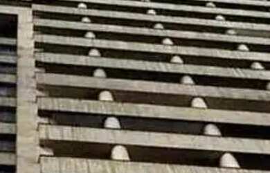 Imagem 10: Sala em Centro - Belo Horizonte