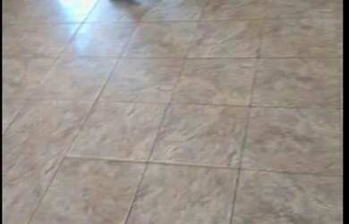 Imagem 6: Apartamento novo gama perto da rodoviária upa24h mercado padaria escola...