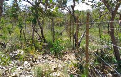 Imagem: O terreno está localizado em Jaboticatubas, MG à venda por