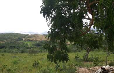 Imagem: O terreno possui 20000m² de Área e está localizado em Jaboticatubas