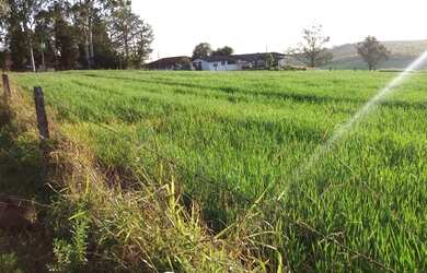 Imagem 4: ITAPETININGA - RURAL - ÁREA RURAL DE ITAPETININGA