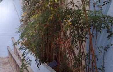 Imagem 11: Terreno à venda, 1988 m² por R$ 5.088.000,00 - Mandaqui - São Paulo/SP