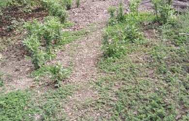 Imagem 6: vendo. 360m² de Área