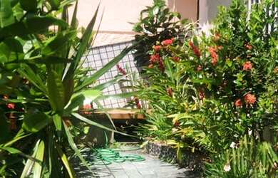 Imagem 4: RIO DE JANEIRO - Casa Padrão - JARDIM GUANABARA