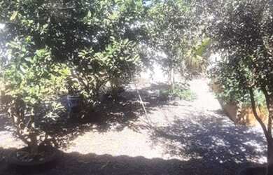 Imagem 3: Casa 26 setembro. Piscina, Churrasqueira, Varandae150m² de Área