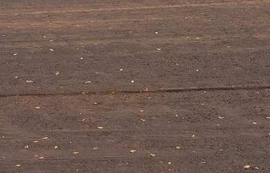 Imagem 3: Lote Orlando de Morais